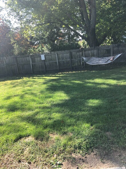 Hammock in the back yard - 24 Franklin Pl