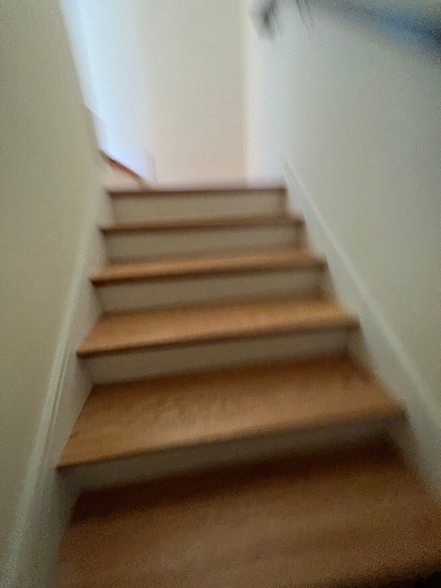 Building Photo - 65 Cameron St