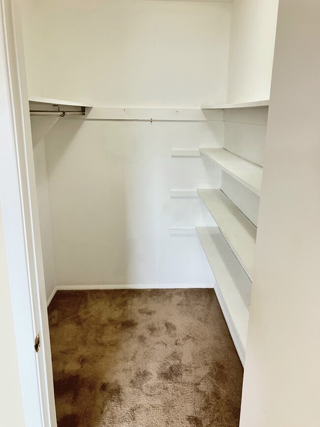 master walk-in closet - 1403 Bradley Dr