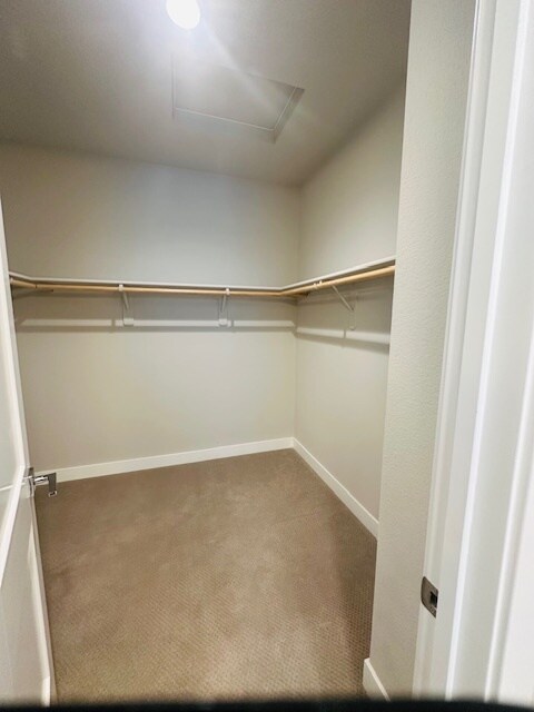 Building Photo - 361 Vinterra Ct