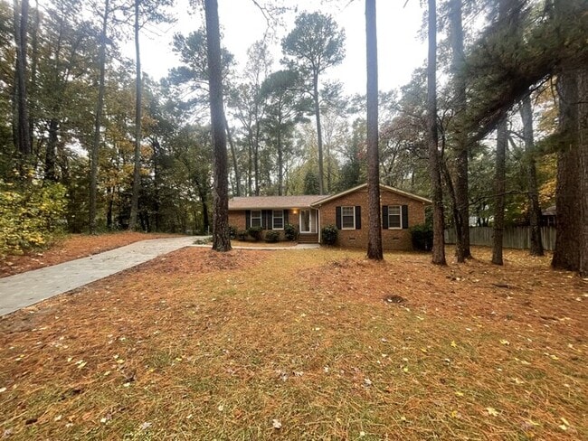 Building Photo - 3 bd 2 ba Ranch