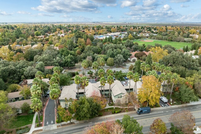 Context - Senior Walnut Terrace 62+