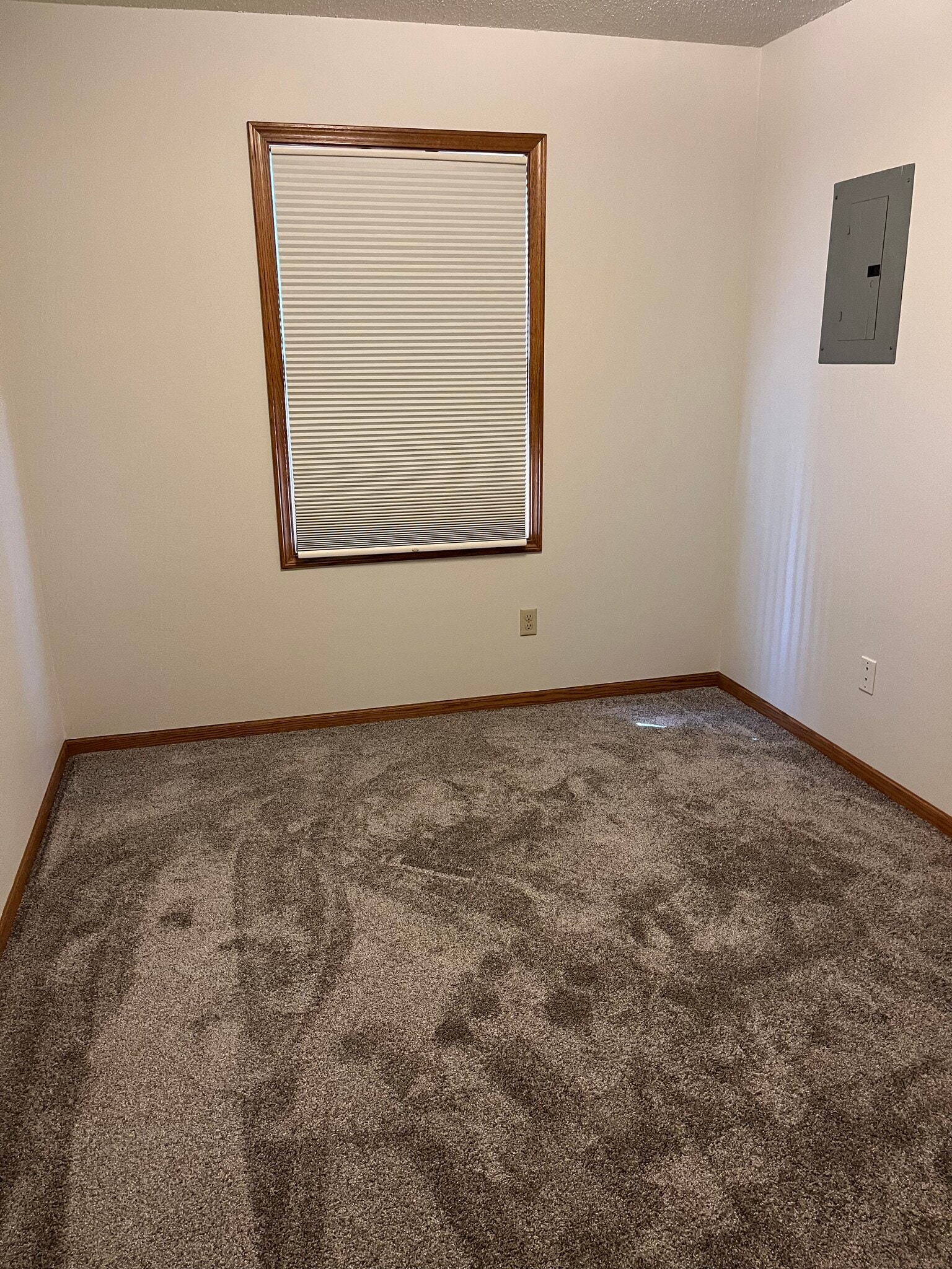 Downstairs bedroom - 2207 Oakleaf St
