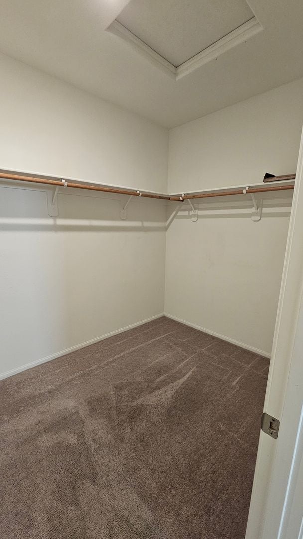 Building Photo - Modern 4 Bedroom Home in City in the Hills