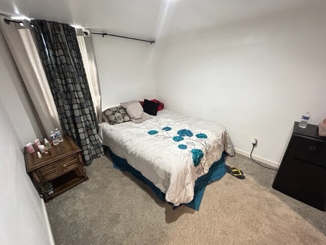 lower level owners suite with walk-in closet and bathroom - 7215 18th Ave S