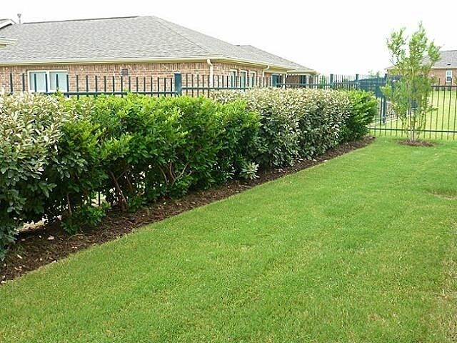 Building Photo - 7936 Tatum Dr