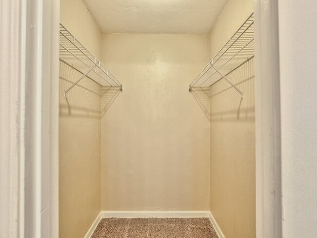 Building Photo - 3208 Ginger Dr