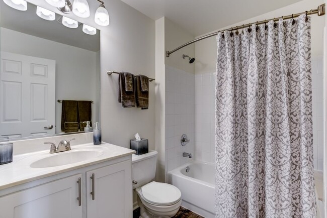 Building Photo - 431 Chopin Ct