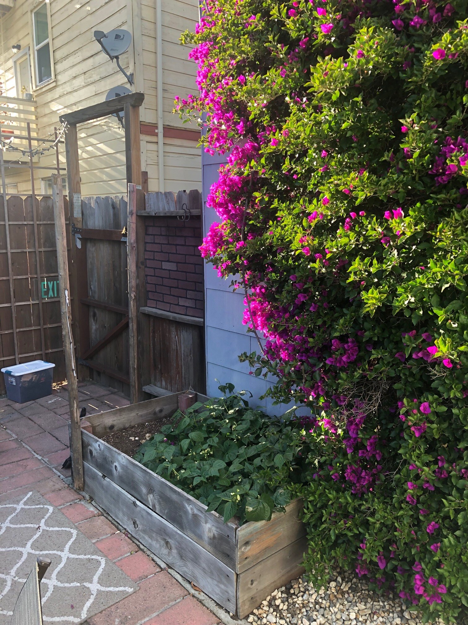 yard - 1077 12th Street