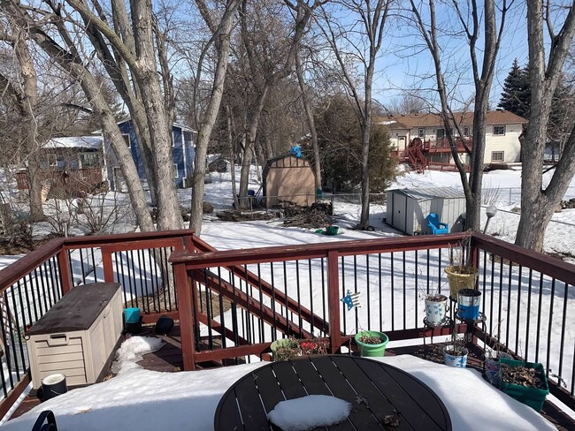 Backyard - 11656 54th St NE