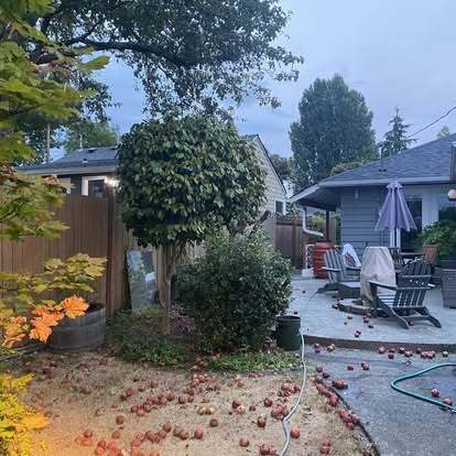 Building Photo - 9443 21st Ave SW