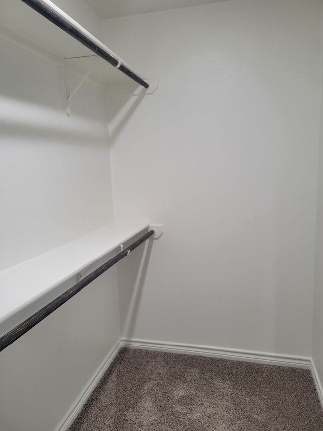 Building Photo - 2325 Zanoletti Ct