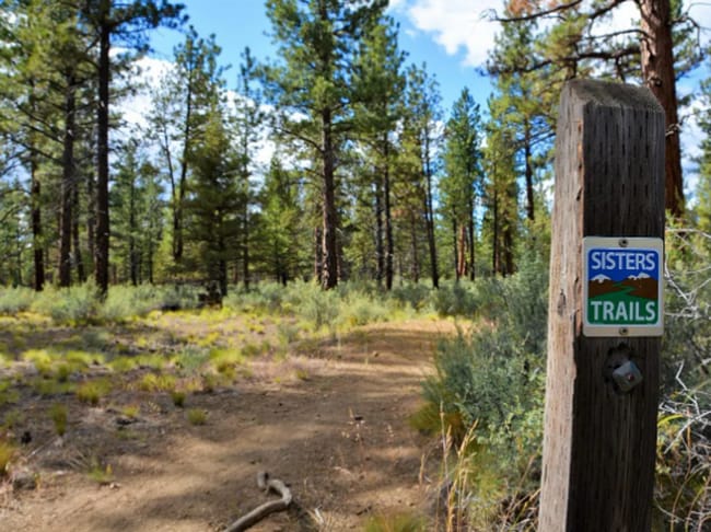 Building Photo - Stunning Prairie style 2bd/2bath + office in ClearPine!