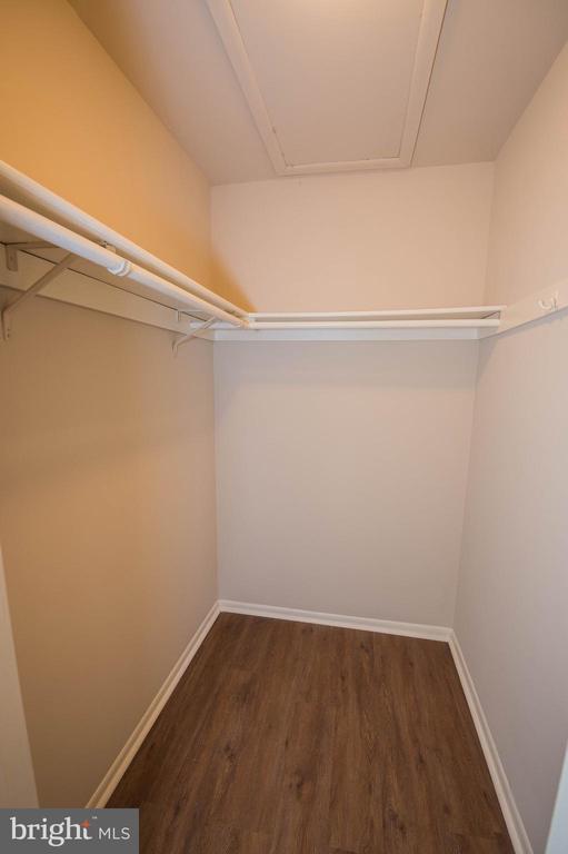 Building Photo - 803 College Ln