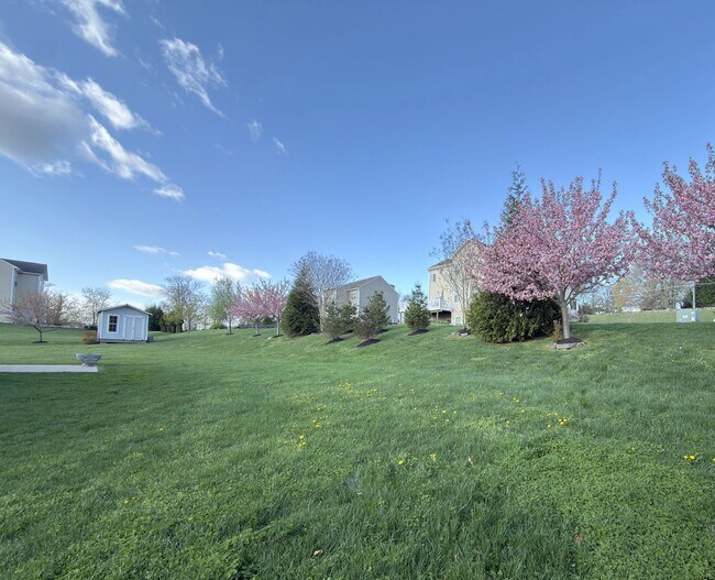 Building Photo - Spacious 4 Bed 3.5 Bath Home in Round Hill VA For Rent!