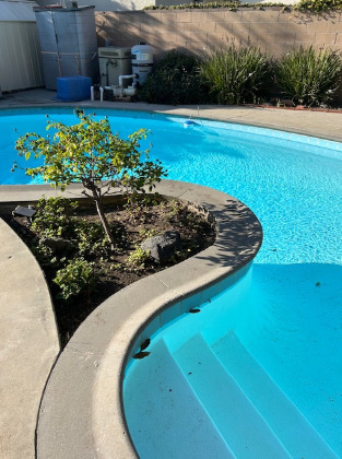 Kidney Shaped Swimming Pool - 12221 Hammack St