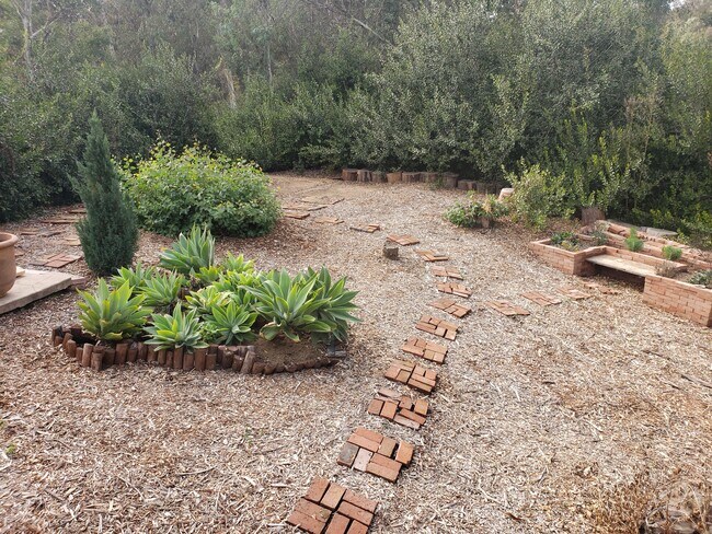 Building Photo - 5648 Calzada Del Bosque