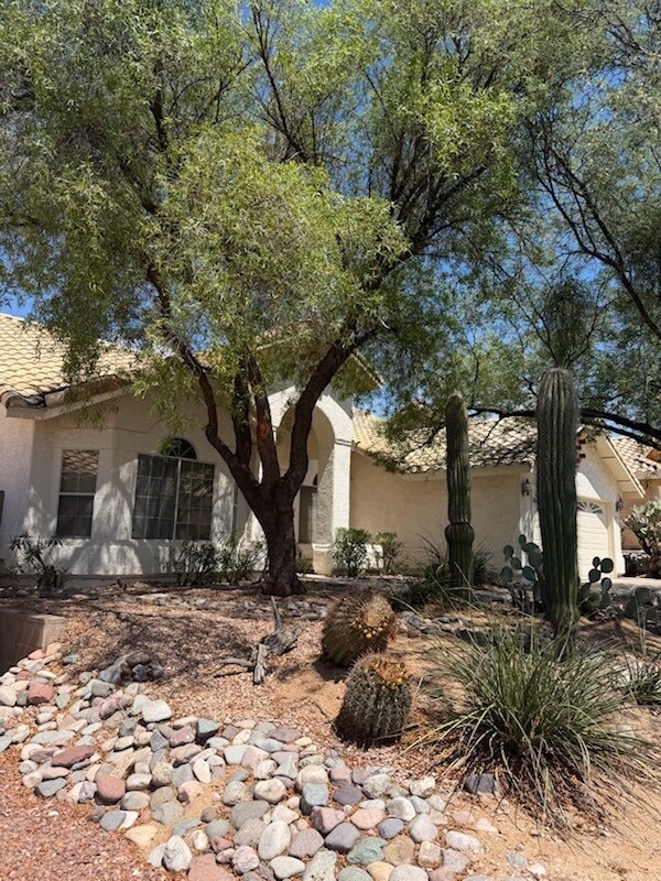 Building Photo - 1644 W Duskfire Pl