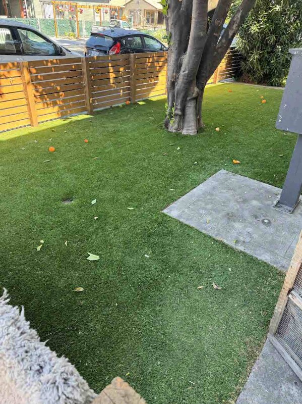 Building Photo - 52 Cleveland Ave