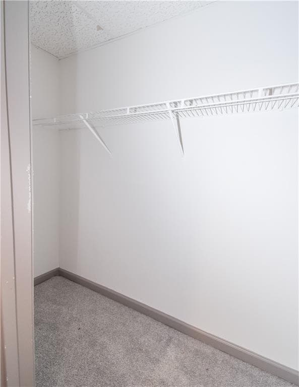 Building Photo - 2582 Candler Way