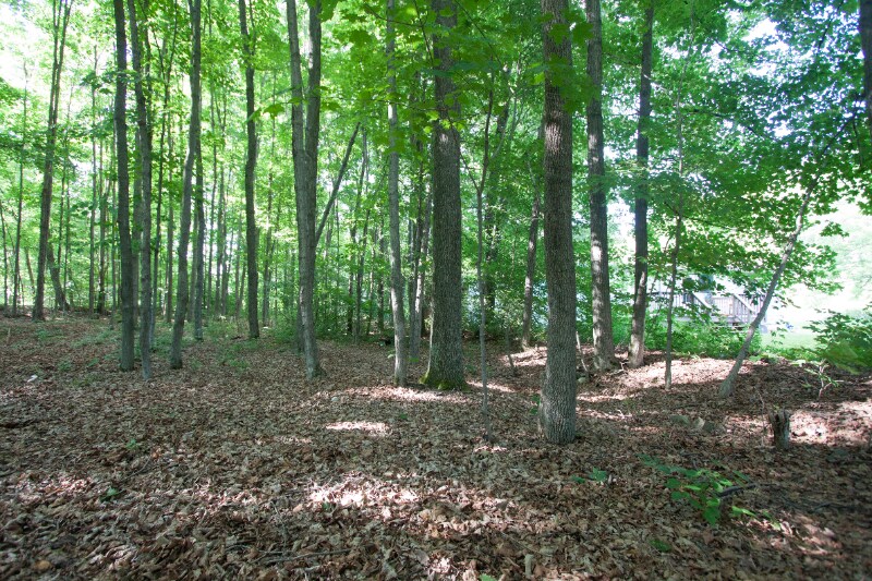 Building Photo - 1 Sawdey Rd