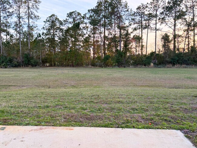 Building Photo - 3/2 with grass cutting included & access to community amenities.