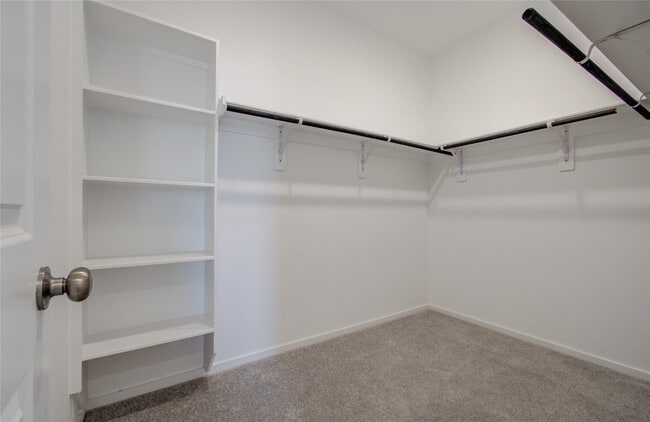 Building Photo - 26514 Foxtail Fern Dr