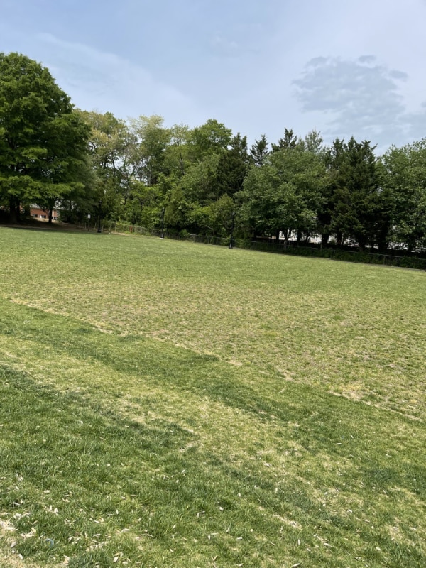 Building Photo - 9300 Hagel Cir