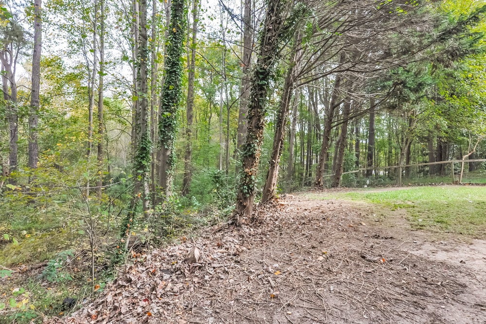 Building Photo - 1929 Deep Forest Trail