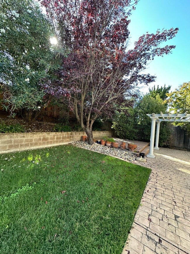 Building Photo - Almaden Home, great area, ready for move in!