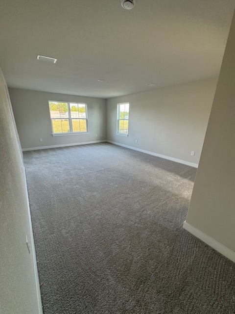 Building Photo - 1118 Egret Ln