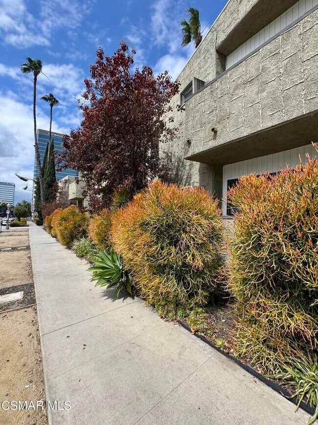 Building Photo - 4506 Saugus Ave