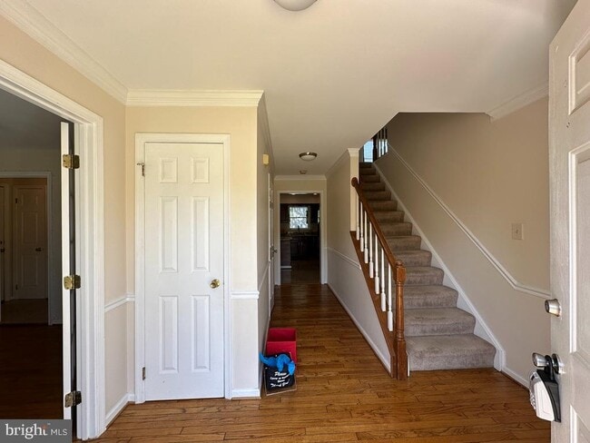 Building Photo - 893 Broad Oaks Dr