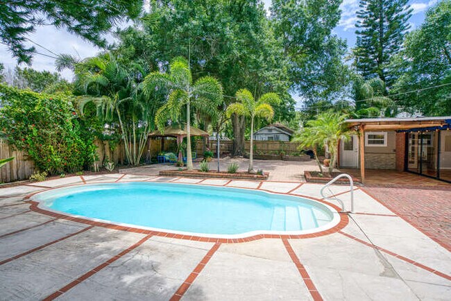 Side Area with Pool - 1127 S Osprey Ave