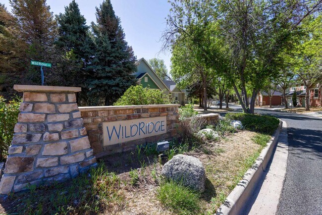 Building Photo - 658 Wild Ridge Cir