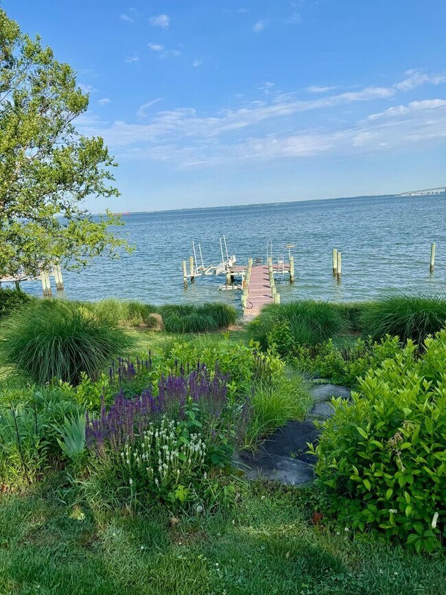 Building Photo - Eastern Shore Waterfront REDUCED