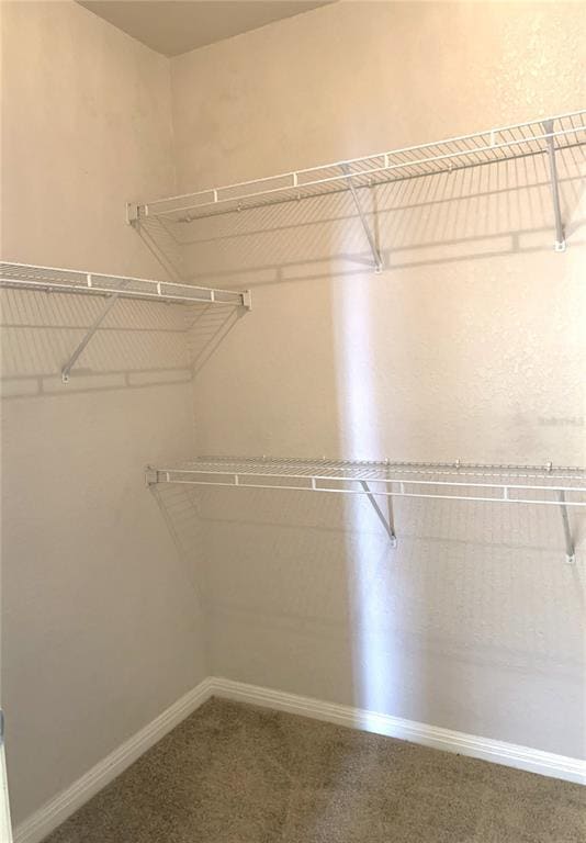 Building Photo - 911 N Orange Ave