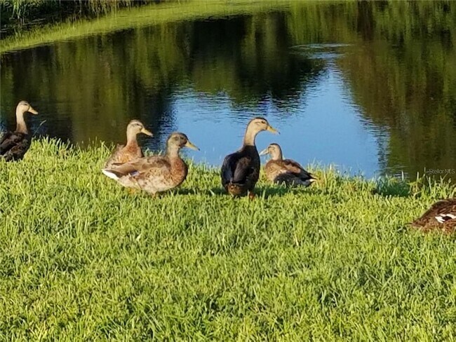 Building Photo - 237 N Hidden Tree Dr