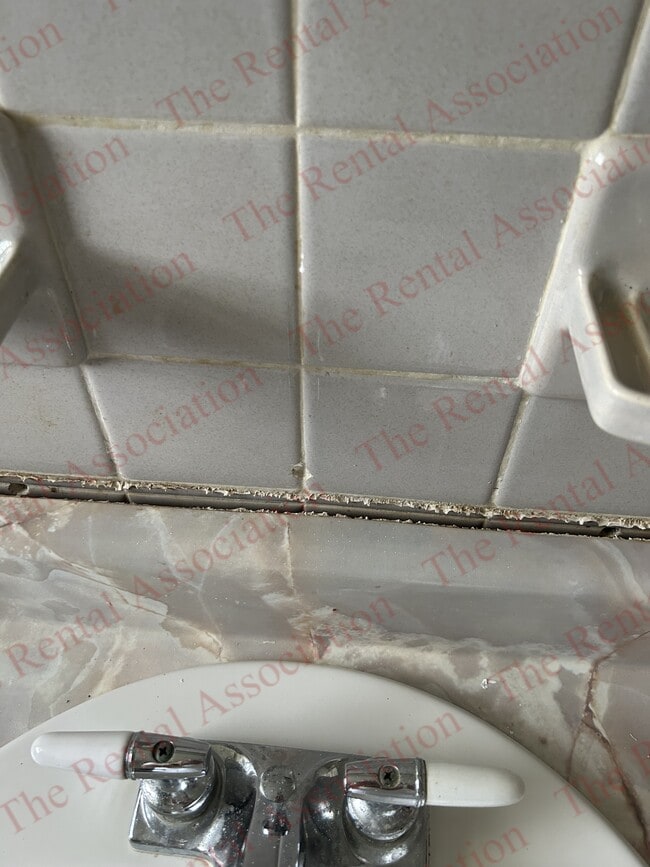 Building Photo - 3901 Blanks Street