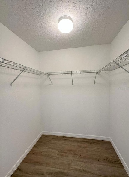 Building Photo - 37 Lewis Shire Pl