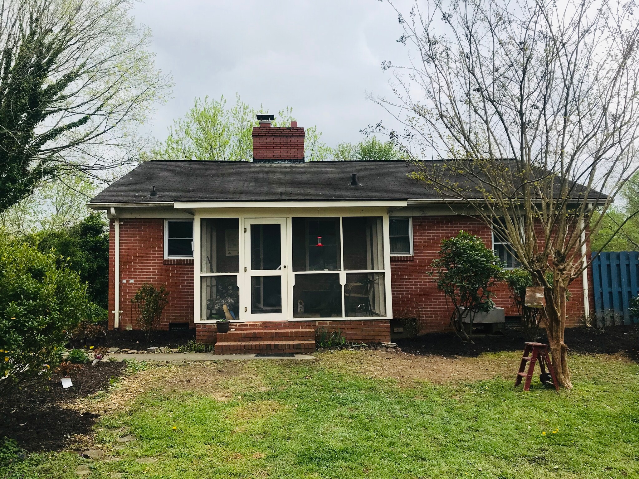 Back yard - 212 Evans St