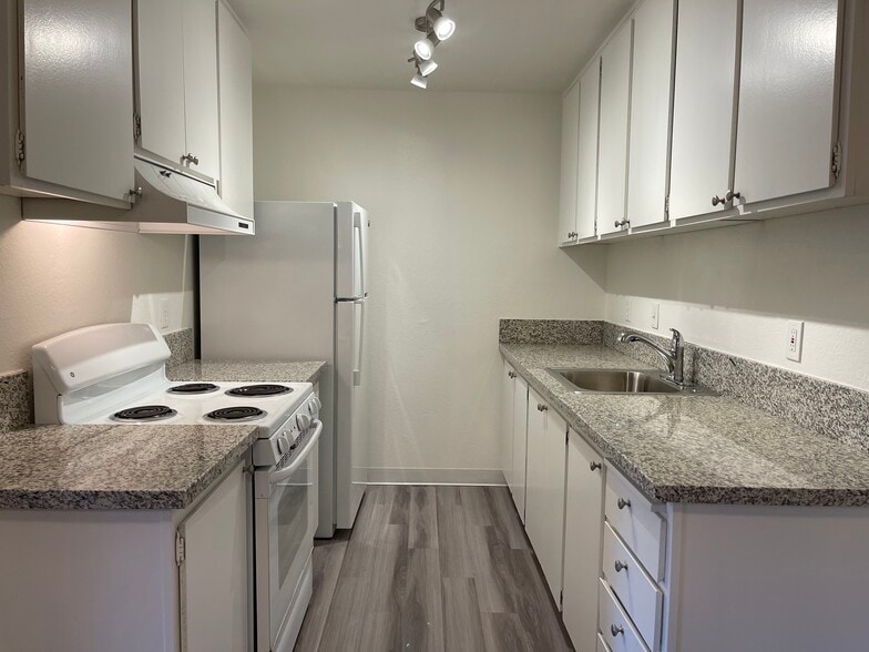 Kitchen - 1241 Morse Ave