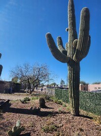 Building Photo - 2136 N Madelyn Ave