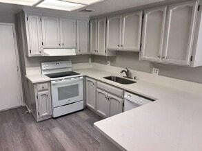 Building Photo - 3 Bedroom/3 Bath Tiffany Estates Ripon Ca