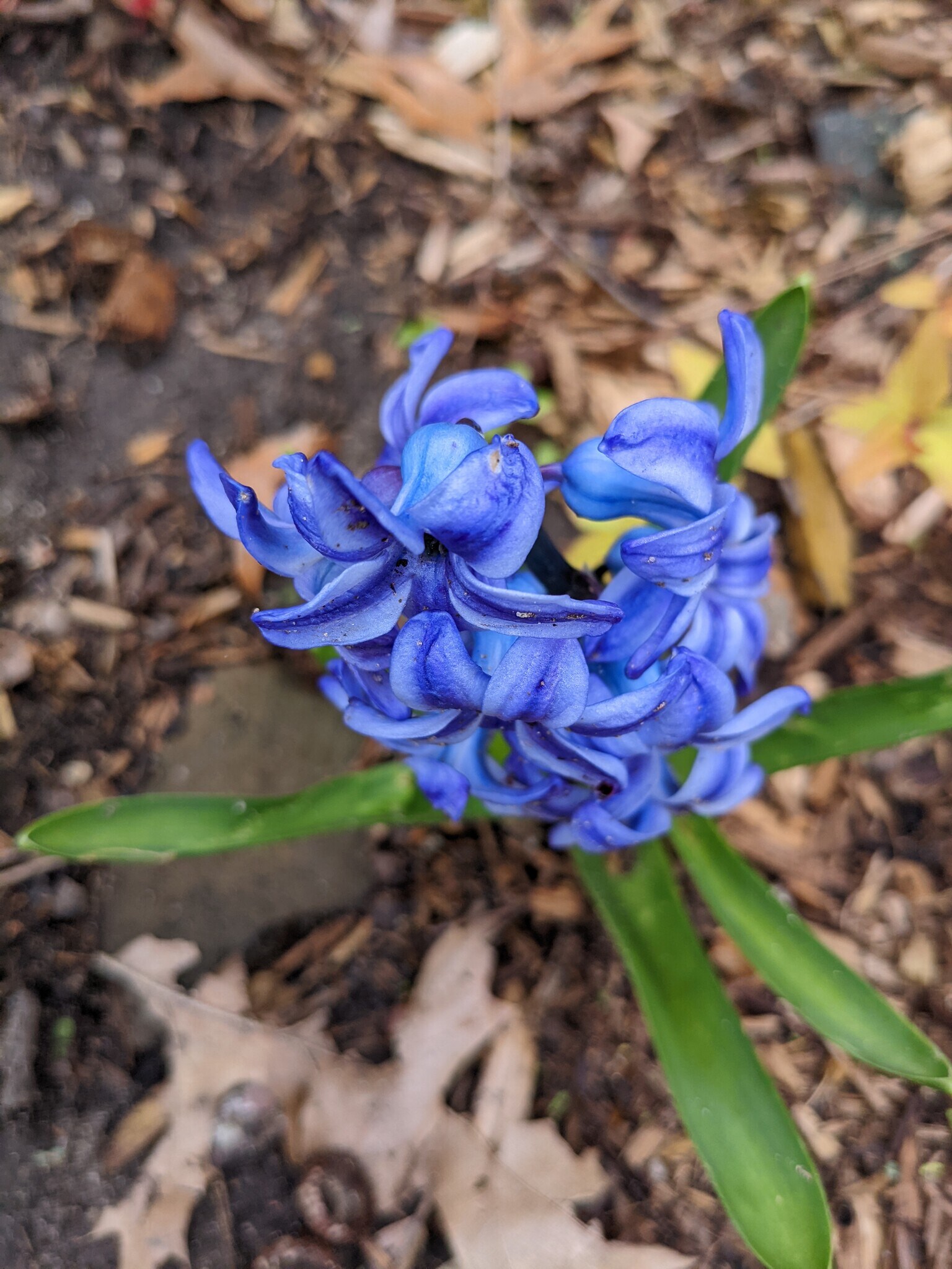 Building Photo - 8970 E Gull Lake Dr