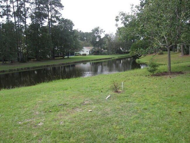 Building Photo - Sun City 55 + Community