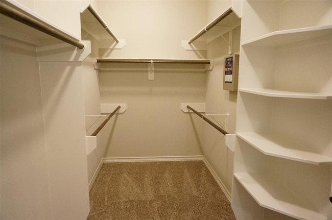 Building Photo - 3635 Diamond Creek Dr