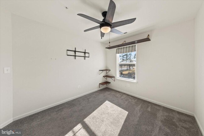 Building Photo - 5559 Trafalgar Cir