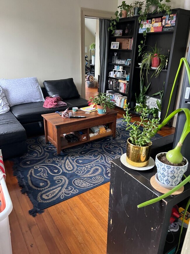 Building Photo - Mansfield Heights | 317-319 Mansfield St.