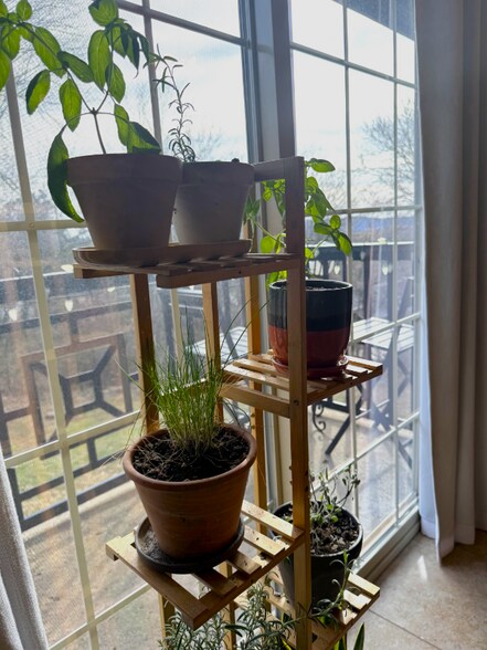 Building Photo - 255 Fletcher Ave